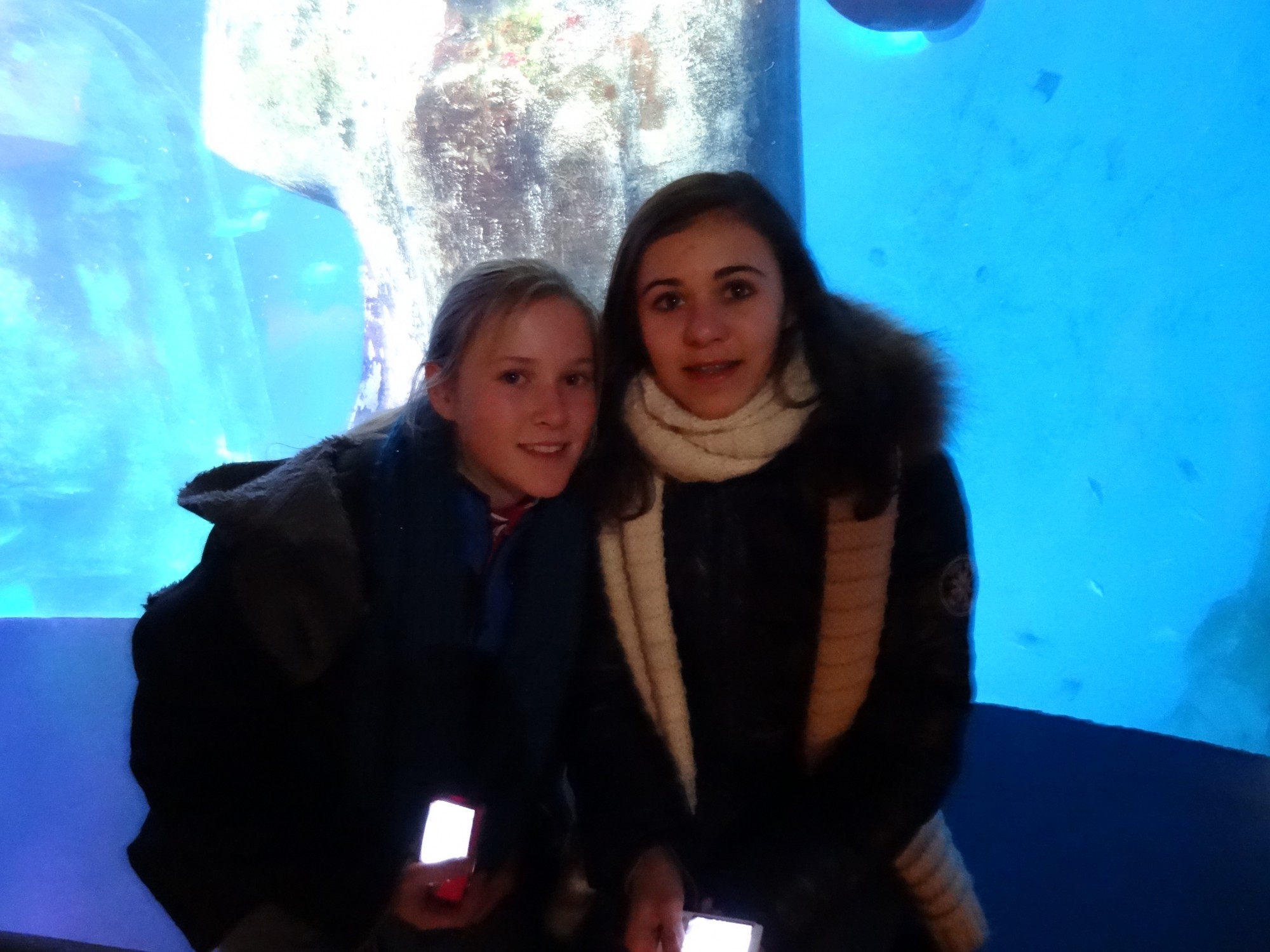 SeaLife Aquarium