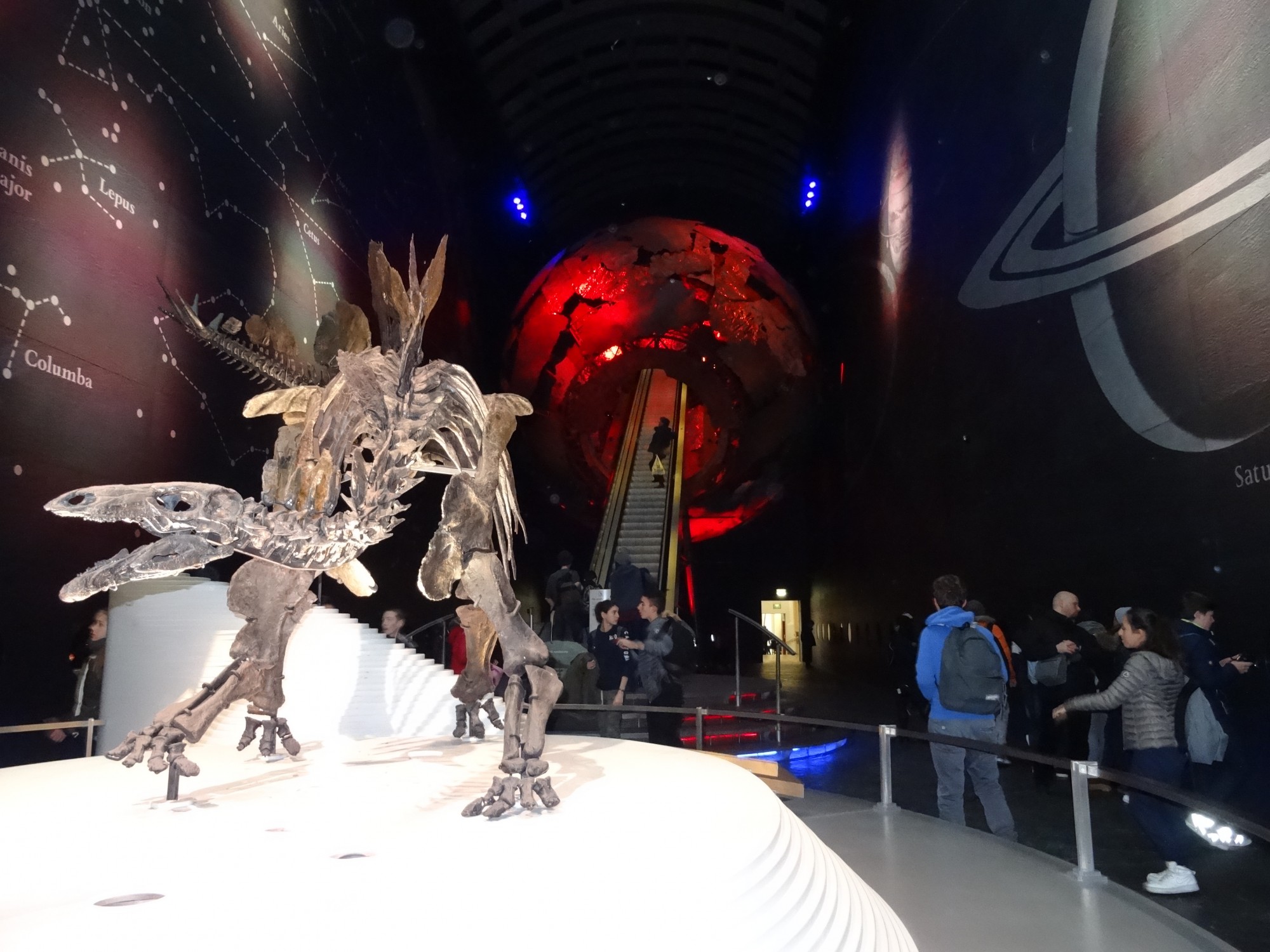 Le hall d'entrée du Natural History Museum